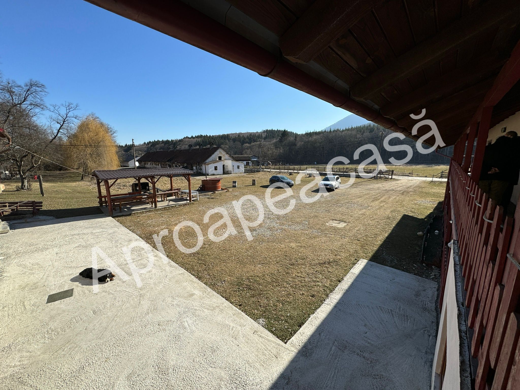 teren de vanzarea zona caodlea, lac de vanzare zona codlea, casa de vanzare zona codleaa